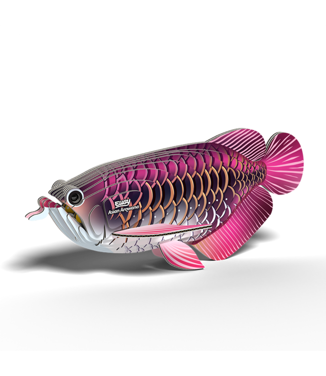 Eugy | 3D Cardboard Model Kit | Sea Life | Drakenvis | 6+