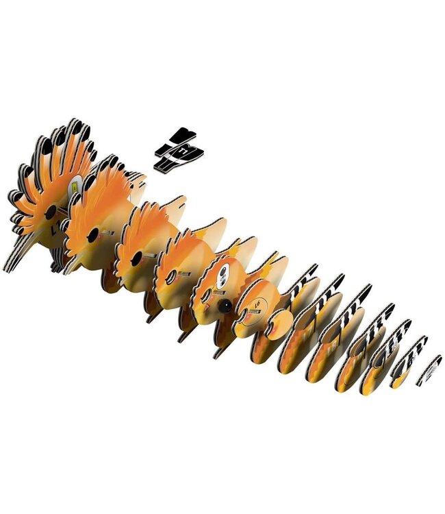 Eugy | 3D Cardboard Model Kit | Vogel | Hoopoe (Upupa epops) | 6+