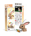 Eugy Eugy | 3D Cardboard Model Kit | Farm Life | Konijn | 6+