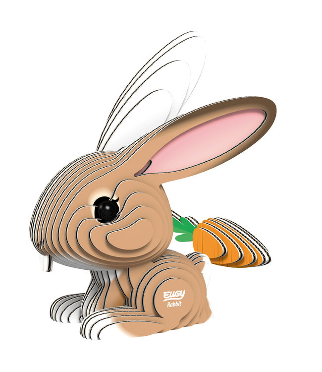 Eugy | 3D Cardboard Model Kit | Farm Life | Konijn | 6+