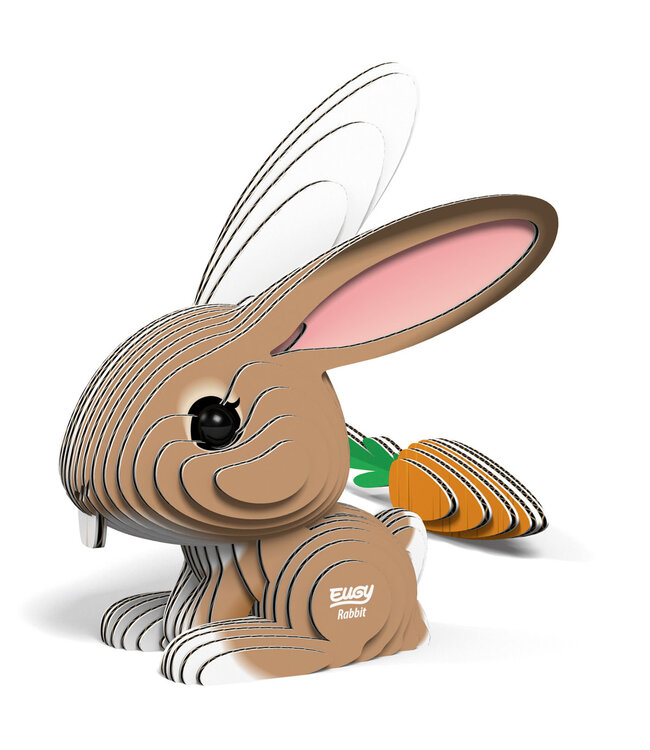 Eugy | 3D Cardboard Model Kit | Farm Life | Konijn | 6+