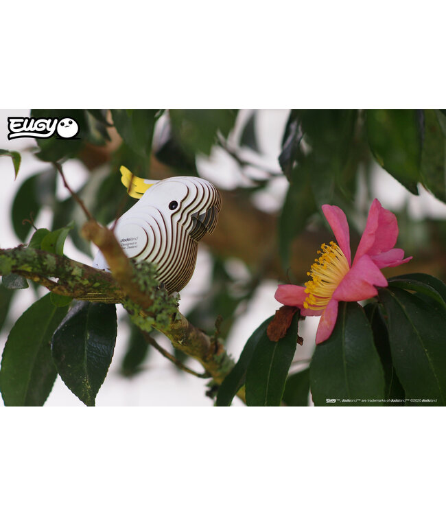 Eugy | 3D Cardboard Model Kit | Bird Life | Kaketoe | 6+