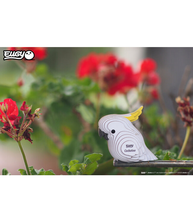 Eugy | 3D Cardboard Model Kit | Bird Life | Kaketoe | 6+