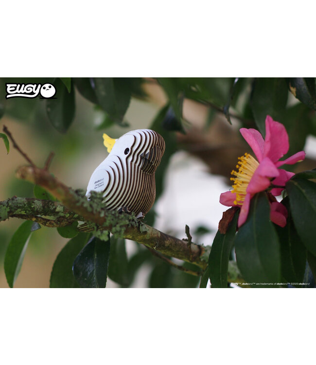Eugy | 3D Cardboard Model Kit | Bird Life | Kaketoe | 6+