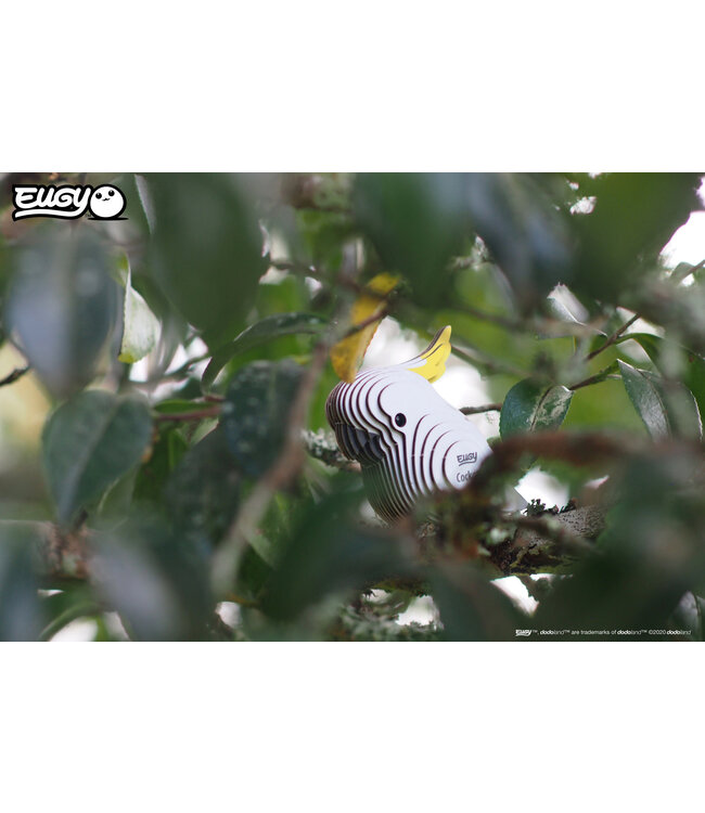 Eugy | 3D Cardboard Model Kit | Bird Life | Kaketoe | 6+