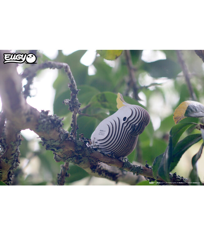 Eugy | 3D Cardboard Model Kit | Bird Life | Kaketoe | 6+
