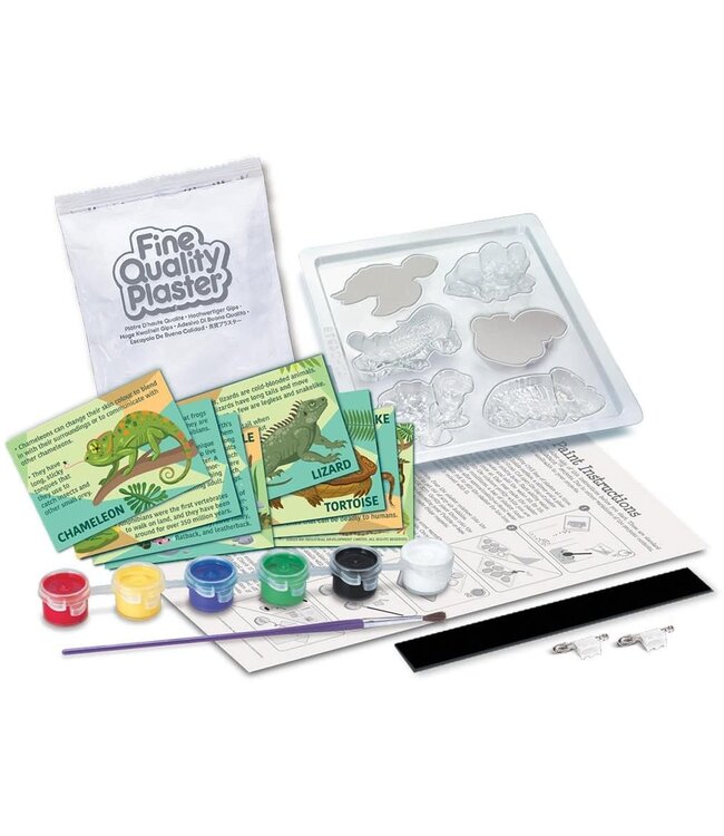 4M | Creatief | Gips Gieten en Verven | Reptielen en Amfibieën | 5+