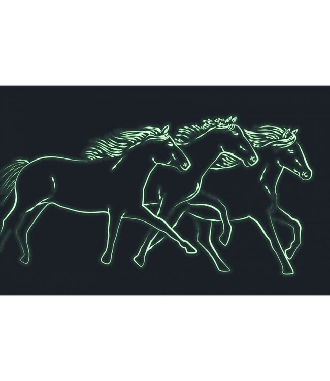 Trousselier | Musical Jewellery Box | Horses Camargue | Schubert | Lullaby