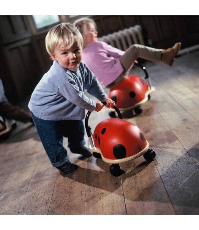 Wheelybug | Lieveheersbeest | 1+