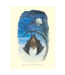 Two Bad Mice Two Bad Mice | Celia Biscoe | Hanging Around