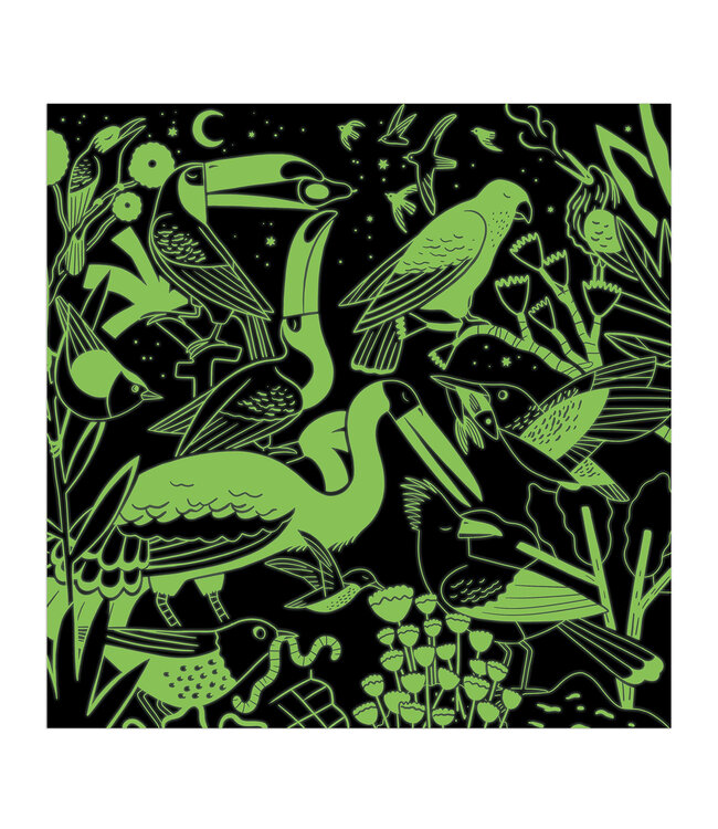 Mudpuppy | Glow in the Dark Puzzle | Birds Illuminated | 51 x 51 cm | 500 pieces | 8+