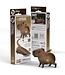 Eugy Eugy | 3D Cardboard Model Kit | Wild Life | Capybara | 6+