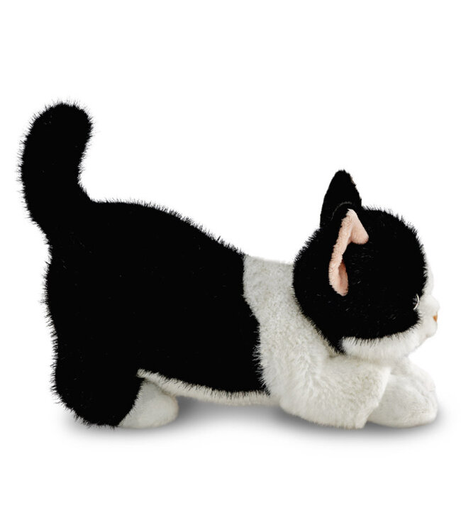 Aurora | Luxe Boutique | Borealis | Domino Tuxedo Kat | 31 cm | 0+