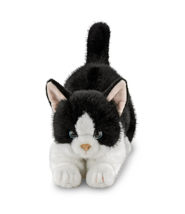 Aurora | Luxe Boutique | Borealis | Domino Tuxedo Kat | 31 cm | 0+