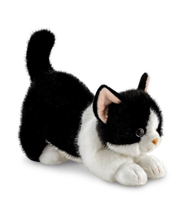 Aurora | Luxe Boutique | Borealis | Domino Tuxedo Kat | 31 cm | 0+