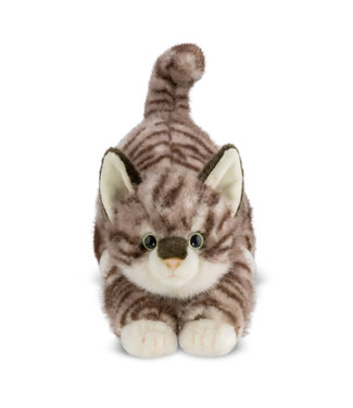 Aurora Aurora | Luxe Boutique | Borealis | Esme Tabby Kat | 31 cm | 0+