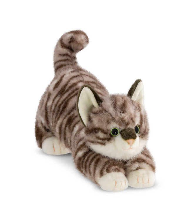 Aurora | Luxe Boutique | Borealis | Esme Tabby Kat | 31 cm | 0+