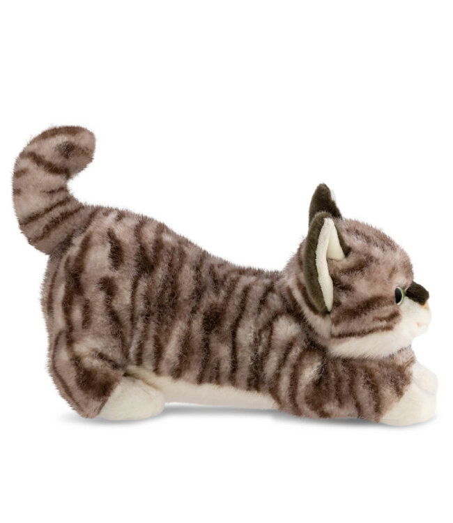 Aurora | Luxe Boutique | Borealis | Esme Tabby Kat | 31 cm | 0+