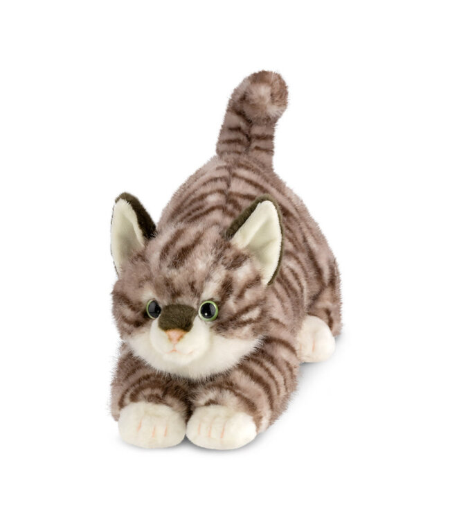 Aurora | Luxe Boutique | Borealis | Esme Tabby Kat | 31 cm | 0+