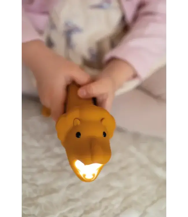 Rabbit & Friends | Leeuw | Oplaadbare Zaklantaarn | Siliconen | 25cm | 2+