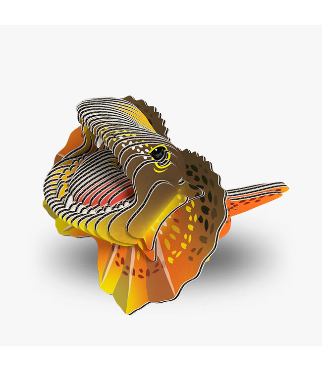 Eugy | 3D Cardboard Model Kit | Wild Life | Frilled Lizard | 6+