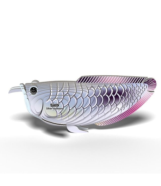 Eugy | 3D Cardboard Model Kit | Sea Life | Silver Arowana | 6+