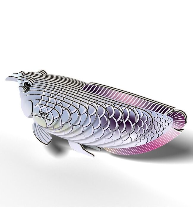 Eugy | 3D Cardboard Model Kit | Sea Life | Silver Arowana | 6+