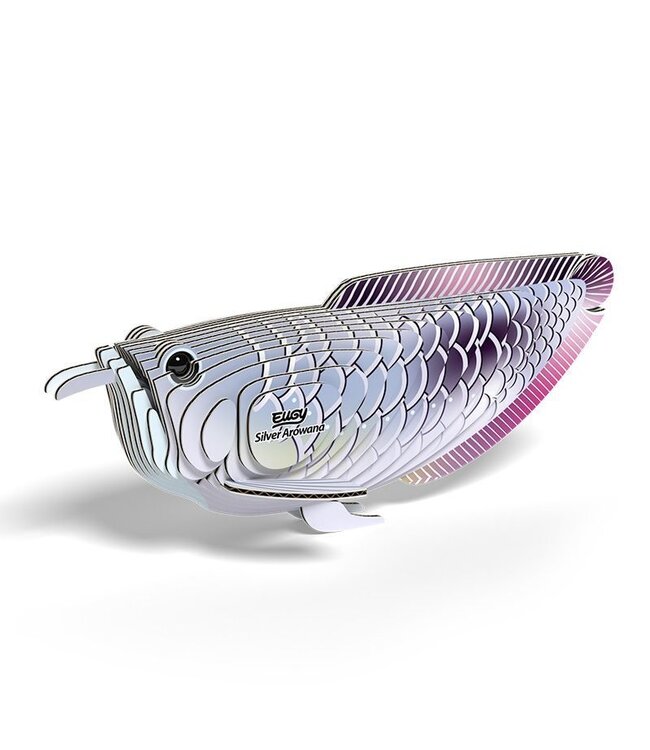 Eugy | 3D Cardboard Model Kit | Sea Life | Silver Arowana | 6+