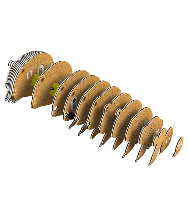 Eugy | 3D Cardboard Model Kit | Wild Life | Wombat | 6+