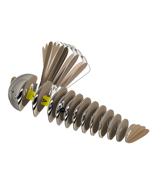 Eugy | 3D Cardboard Model Kit | Bird Life | Fantail | 6+