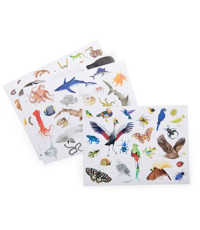 Moulin Roty | Removable Stickers | Animals of the World | 78 stickers | 3+