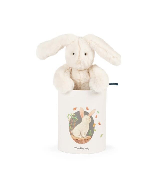 Moulin Roty | Charming Rabbit in a Box | Louison | Cream | 23 cm | 0+