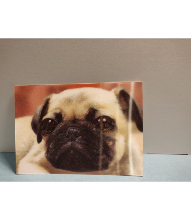 Lenticulaire Kaart Bewegend | Lachende Hond