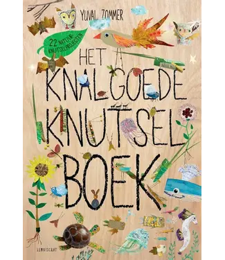 Lemniscaat | Yuva Zommer | Het Knalgoede Knutselboek | 8+