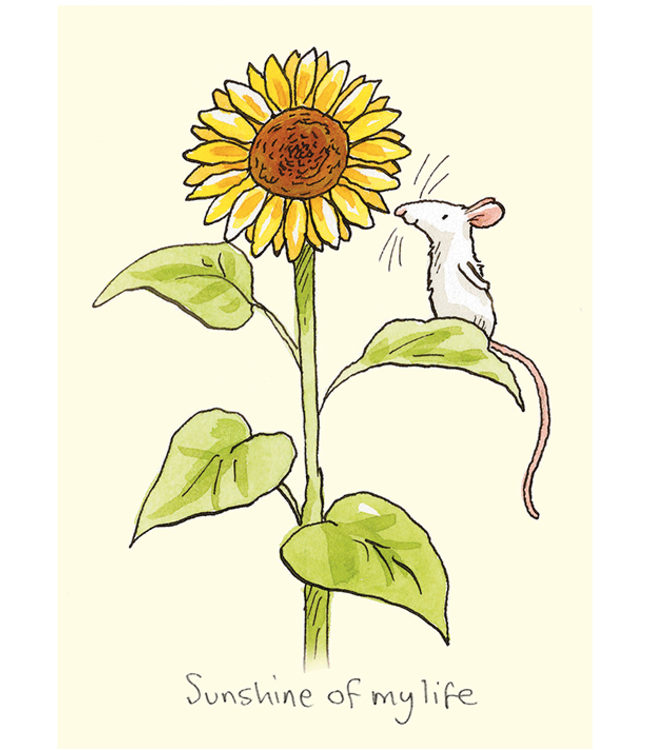 Two Bad Mice | Anita Jeram | Sunshine of my life