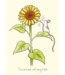Two Bad Mice Two Bad Mice | Anita Jeram | Sunshine of my life