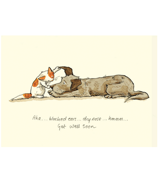 Two Bad Mice Two Bad Mice | Anita Jeram | Get Well Soon