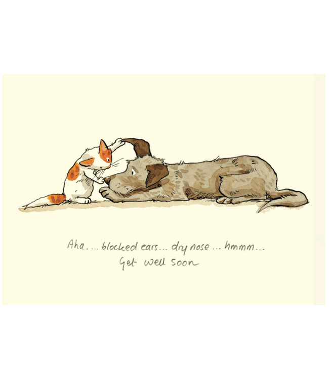 Two Bad Mice | Anita Jeram | Get Well Soon