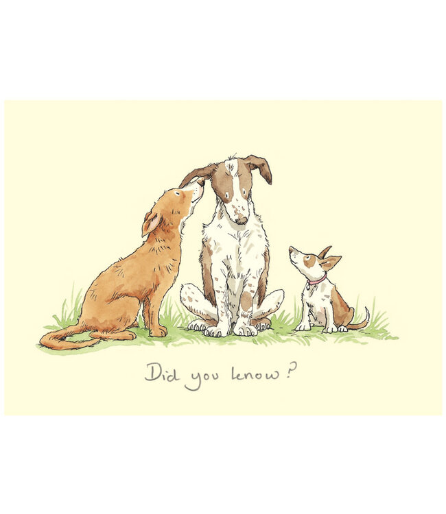 Two Bad Mice | Anita Jeram | Did You Know?