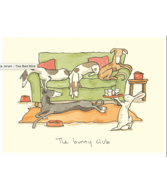 Two Bad Mice Two Bad Mice | Anita Jeram | The Bunny Club