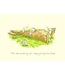 Two Bad Mice Two Bad Mice | Anita Jeram | Too old to carry on, too young to stop