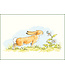 Bekking & Blitz Bekking and Blitz | Sam McBratney and Anita Jeram | Guess How Much I Love You