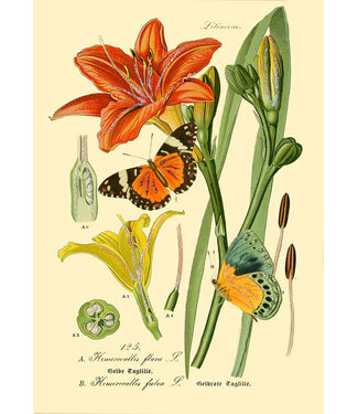 Madame Treacle Madame Treacle | Glitterkaart | Botanical No. 3