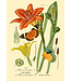 Madame Treacle Madame Treacle | Glitterkaart | Botanical No. 3
