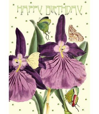 Madame Treacle Madame Treacle | Glitterkaart | Happy Birthday | Orchid