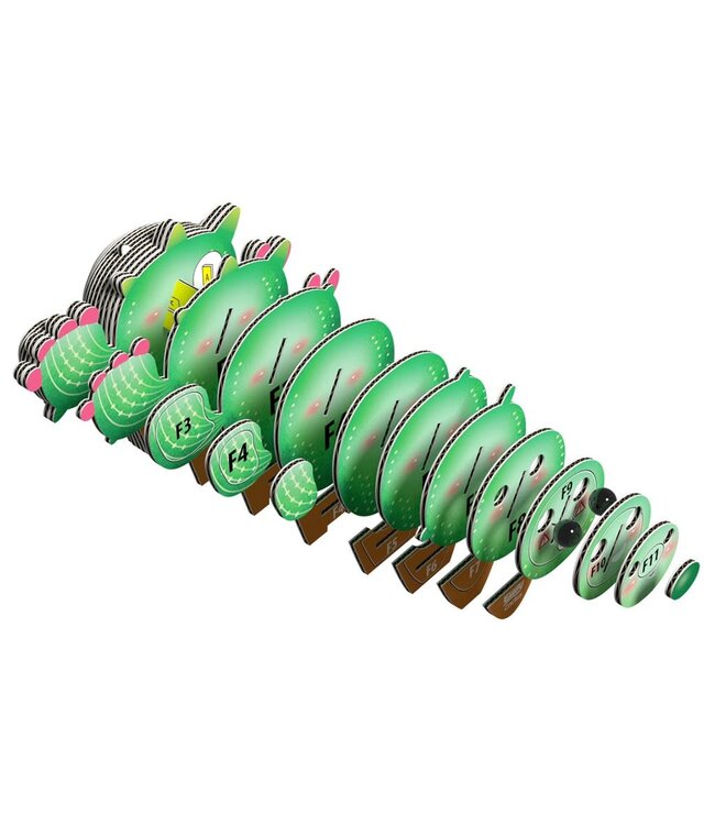 Eugy | 3D Cardboard Model Kit | Fantasy | Cactus | 6+