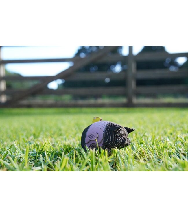 Eugy | 3D Cardboard Model Kit | Farm Life | Varken | 6+