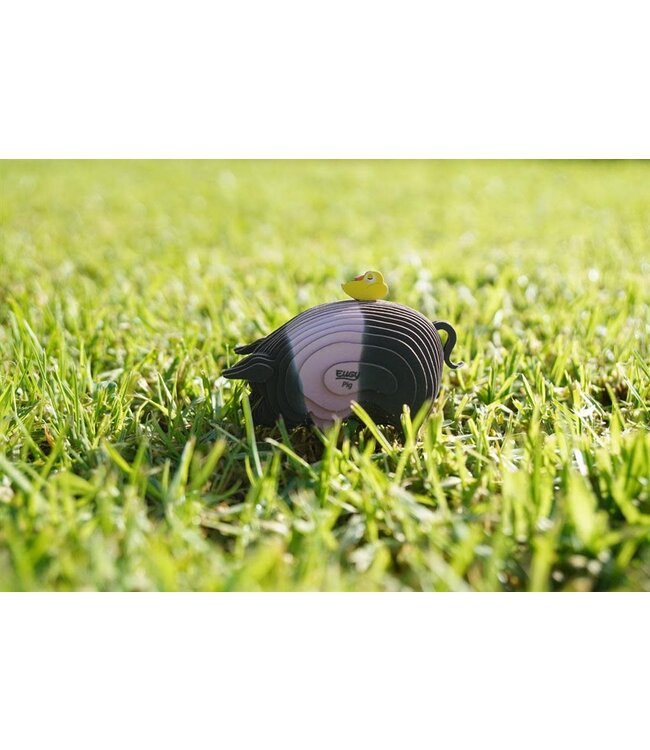 Eugy | 3D Cardboard Model Kit | Farm Life | Varken | 6+