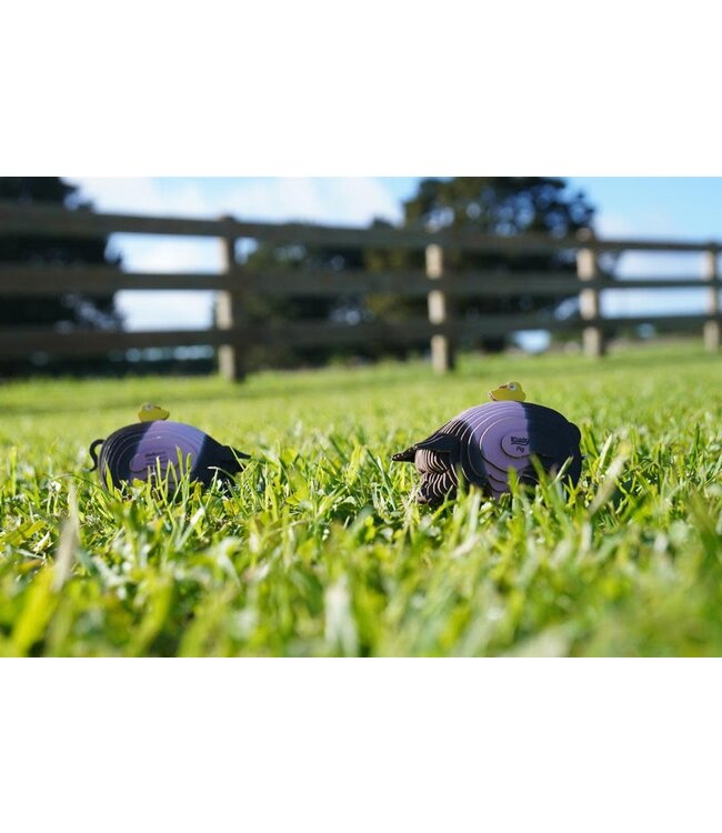 Eugy | 3D Cardboard Model Kit | Farm Life | Varken | 6+