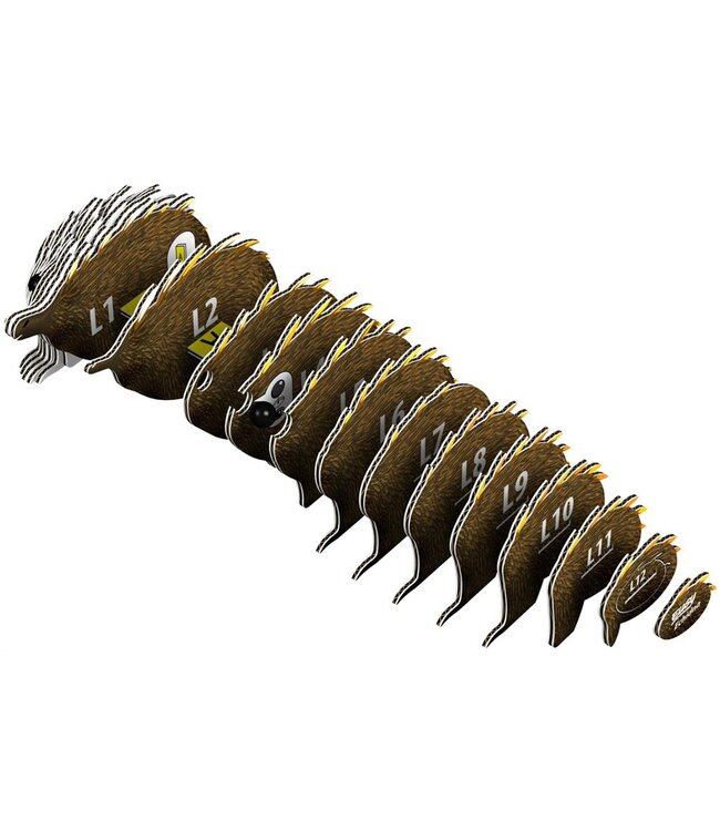 Eugy | 3D Cardboard Model Kit | Wild Life | Echydna - Mierenegel | 6+